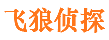 嘉峪关市私家侦探公司